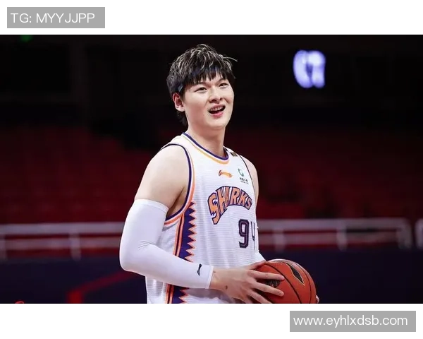 王哲林在CBA赛场的崛起之路与未来发展潜力分析